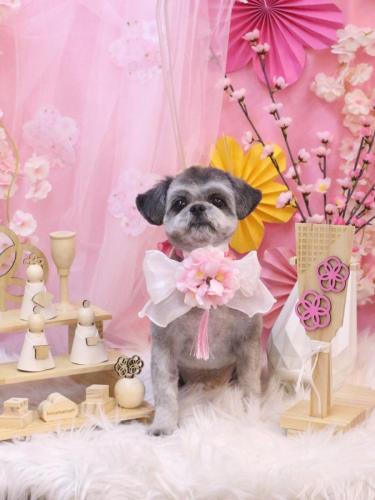 20250315パンくん